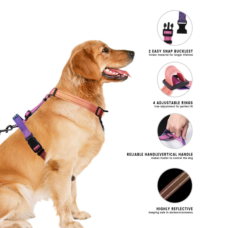 Roses&Poetry Dog Harness for Large Dogs, No-Pull Dog Harness and Leash Set Adjustable Reflective, Dog Vest Harnesses Comfort Padded Handle, Pet Harness for Training Outdoor Walking（Mistyrose-L L Mistyrose - PawsPlanet Australia