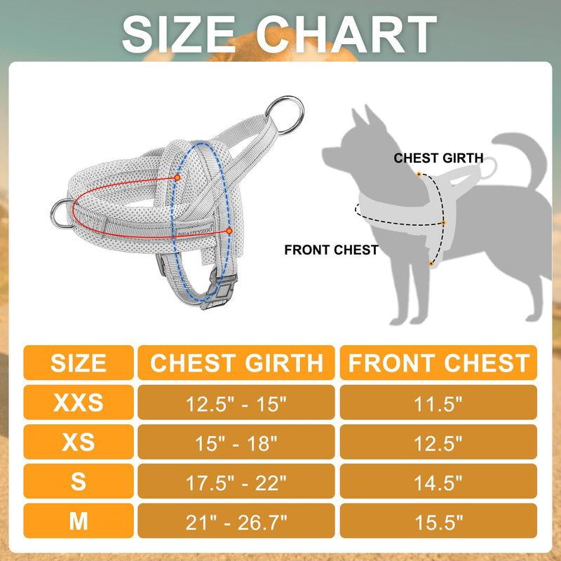 BEAUTYZOO Dog Harness for Small Dogs, No Pull Dog Harness and Leash Set, Soft Escape Proof Puppy Vest Harness with Handle, Reflective Lightweight Step in Harness for Girl Boy Dogs, Beige S S: Chest 17.5"-22" Beige_Mesh - PawsPlanet Australia