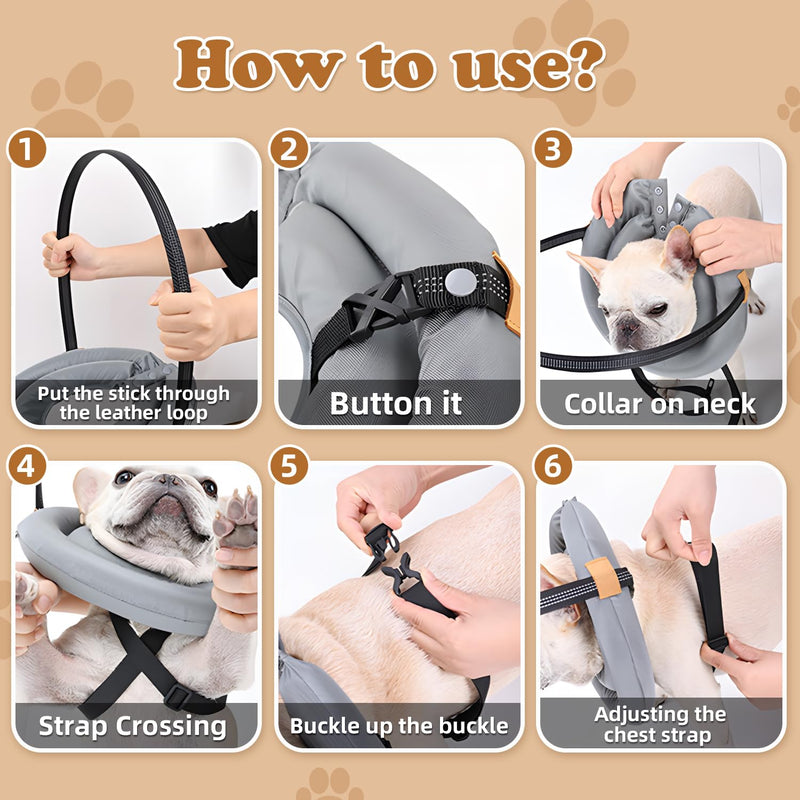 Blind Dog Harness, Lightweight Collar for Dogs&Cats, Adjustable Blind Dog Collar Harness, Pet Anti-Collision Ring for Blind, Eye Injury, Vision Impairment Pets for Protective & Build Confidence XL - PawsPlanet Australia