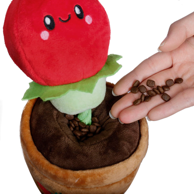 Territory Tomato Treat-and-Tug Dog Toy