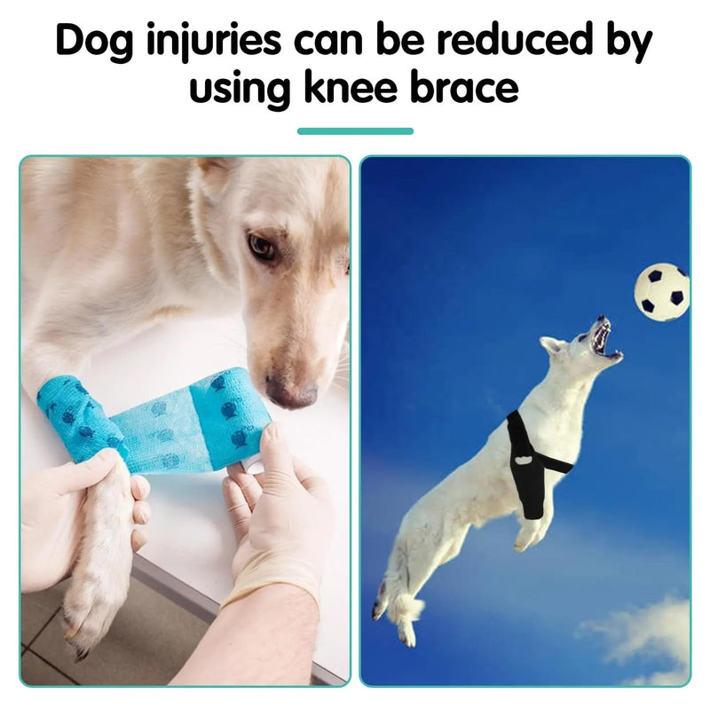 Dog Knee Brace for ACL & Ligament Injuries | Adjustable Back Leg Support & Compression Wrap | Helps with Patella Dislocation, Osteoarthritis & Sprains | Multifunctional Protection (Large) Large