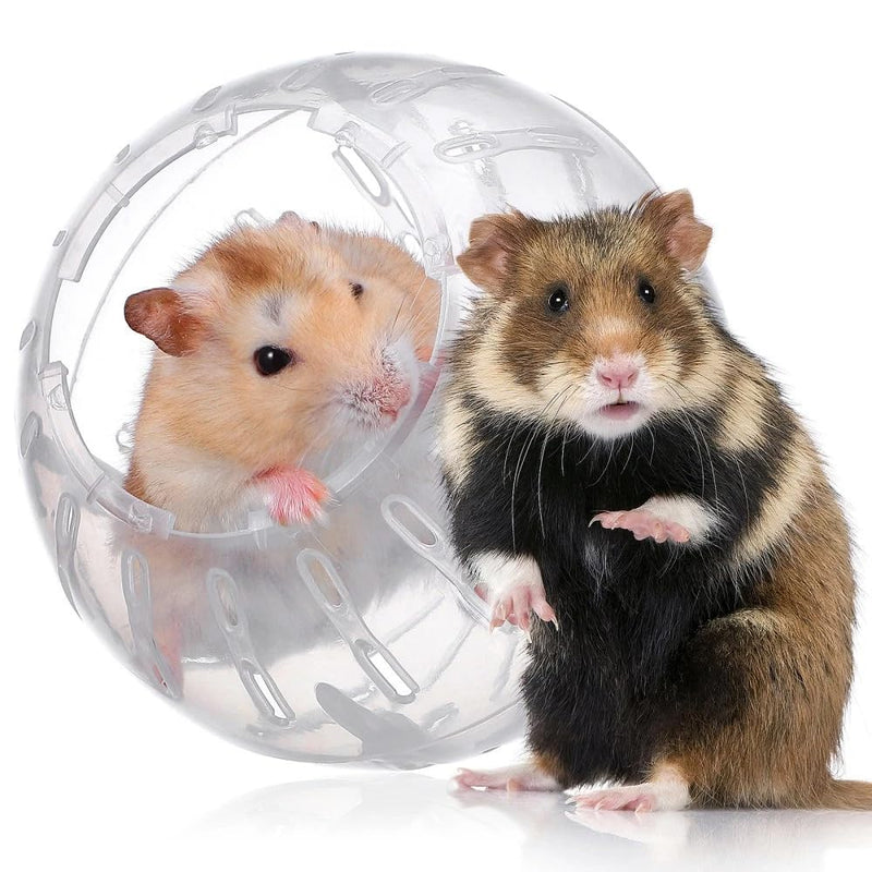 1Pc White-Transparent Plastic Silent Hamster Ball, Exercise Ball for Small Animals, Spinner Hamster Running for Sugar Gliders Small Mice Gerbils Hamsters (Diameter 10 cm - PawsPlanet Australia