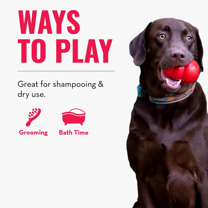 KONG - ZoomGroom Red - Dog Brush for Grooming and Shampooing - For Large Dogs Pink Standard Packaging