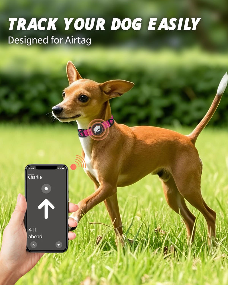 Joytale Airtag Dog Collar, Reflective Pet Collar with Waterproof AirTag Holder, Dual D-Rings, Soft Padded Adjustable for Extra Small and Puppy Dogs, Hotpink, XS X-Small(9"-12") - PawsPlanet Australia
