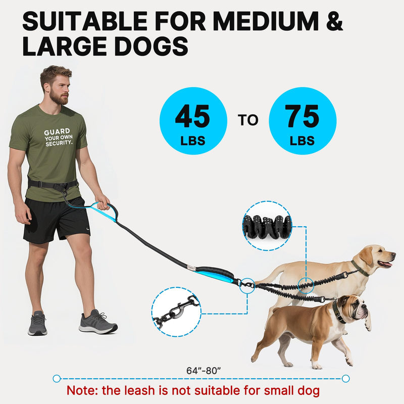 Hands Free Double Dog Leash Tangle Free, Lumbar Support Dual Leash for Medium Large 2 Dogs With Bungee, Waist Bag, Padded Handles,Reflective Stitching for Dog Walking, Jogging, Hiking, Training