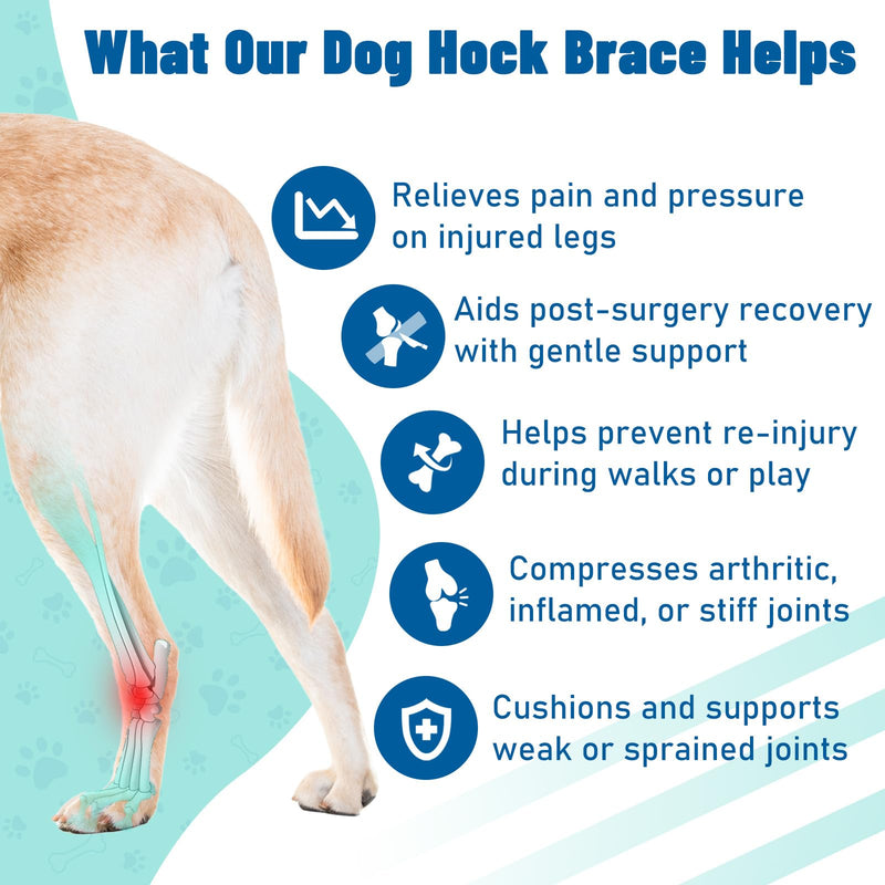 Dog Leg Braces for Back Leg- Hock and Ankle Joint Support Brace for Rear Legs with 2 Metal Strips, Reflective Edging for Sprain, Injury, Arthritis, Wound Recovery,Blue,XL