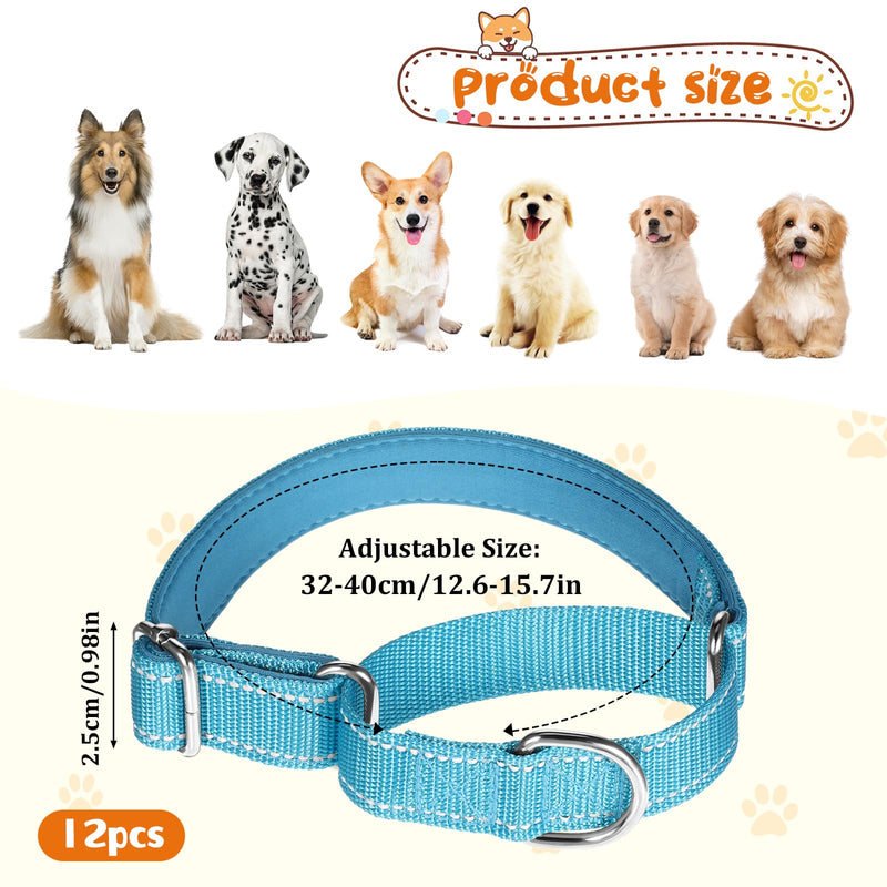12 Pcs Martingale Collar for Medium Dogs Adjustable Pet Training Collar Reflective Dog Collar with Durable Metal Buckle Heavy Duty Nylon No Pull Martingale Collar for Small Medium Large Dogs, Small - PawsPlanet Australia