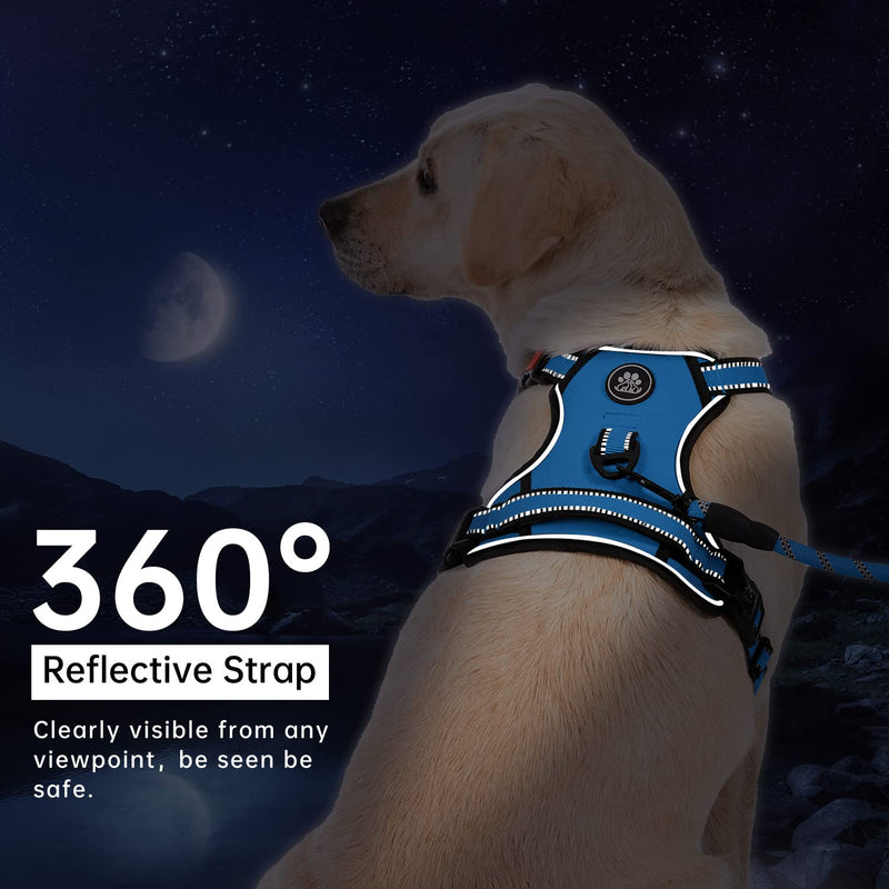 IVY&LANE Dog Harness Set Bundle Dog Collar and Leash Set | Small | Blue - PawsPlanet Australia