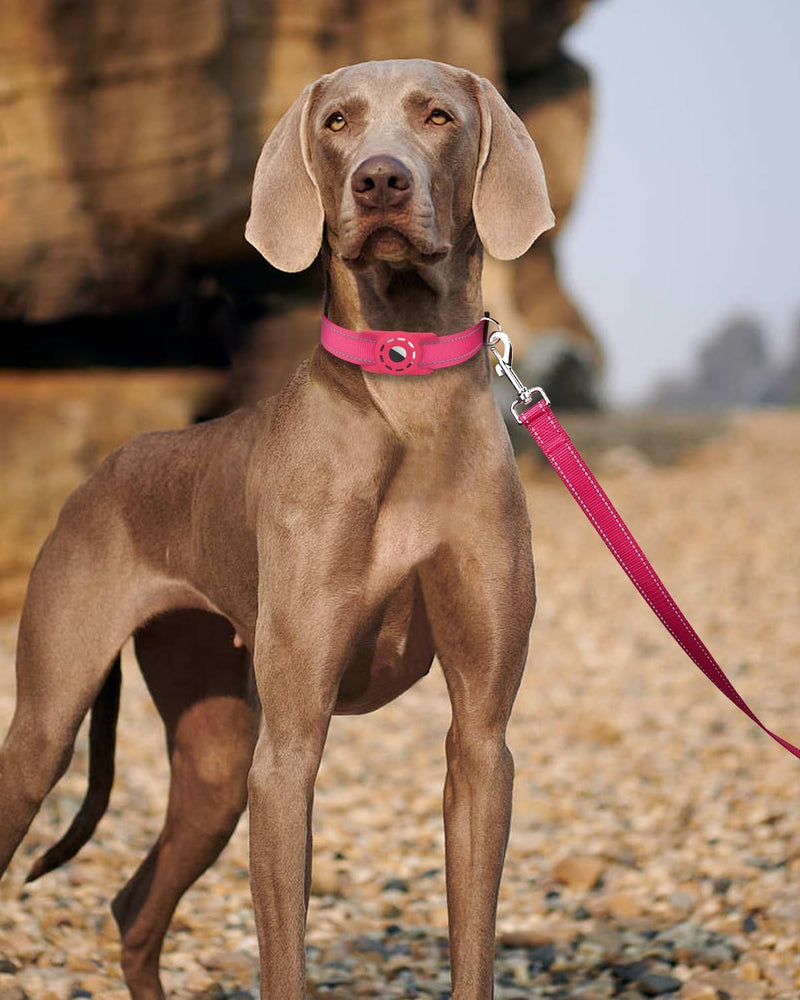 6FT Reflective Nylon Dog Leash with Soft Padded Handle for Walking, Running and Training, Supports Small Medium and Large Dogs (Hotpink, 3/4Inch Wide) 3/4"*6' Hot Pink - PawsPlanet Australia