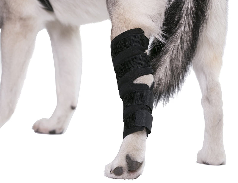 AGON® Dog Leg Braces for Back Leg wrap hock Compression Protects Wounds and Helps heal hind Legs Rear Ankle Joint, preventing Injuries, sprains Providing Stability for Dogs, Canines Arthritis (Large) Large - PawsPlanet Australia