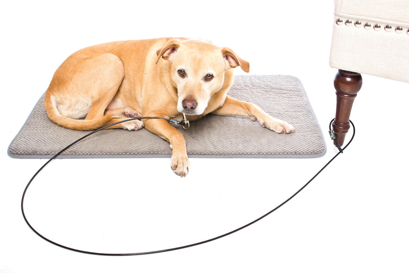 Training Tie Down - Short Tether for Dogs & Teething Puppies (6 feet) 6 feet - PawsPlanet Australia