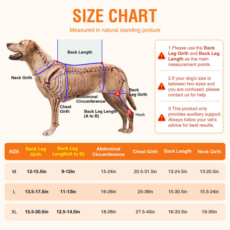 Dog ACL Brace Hind Leg – Breathable Adjustable Rear Leg Brace with Hot/Cold Compress Gel Pack for Arthritis, Swelling & Joint Pain Relief, Left Leg, Size M Left Knee