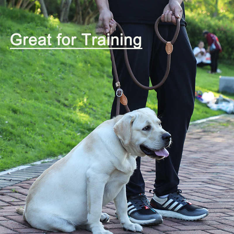 Slip Lead Dog Leash,Comfortable NBR Handle,Nylon Rope Lead for Control Safety Training,Preventing Dogs from Suddenly Rushing,Leashes for All Dogs (Basic Style?Beige-5ft*3/8inch) - PawsPlanet Australia