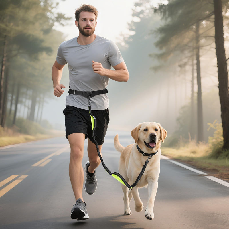 Hands Free Dog Leash for Medium Large Dogs, Waist Support Padded Bungee Dog Running Leash with Reflective Stitching for Walks, Jogging, Running, Hiking, and Dog Training for One Dog Black/Green - PawsPlanet Australia