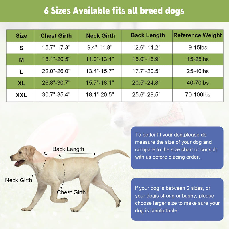 Dog Surgery Recovery Suit 2 Packs, Professional Pet Recovery Shirt Dog Abdominal Wounds Bandages for Male Female Pet Surgical Snugly Suit After Surgery Anti-Licking Dog Onesies XL XL Pack of 2 (Weight 40-70 LB) Blue & Green - PawsPlanet Australia