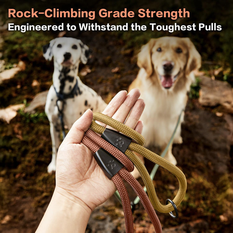 PawsPassion Rope Dog Leash 6 FT, 2-in-1 Heavy Duty Dog Leash with Seat Belt Buckle, Tangle Free 360ｰ Swivel Aviation Aluminum Carabiner, All Metal Hardware, Alloy O-Ring (Canyon Red) Canyon Red - PawsPlanet Australia