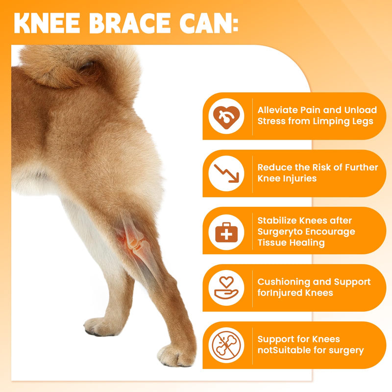 Dog Knee Brace for Hind Leg – Adjustable Rear Leg Support with 2 PP Resin Bars, Helps Torn ACL, Ligament Injuries, Luxating Patella & Hip Dysplasia Recovery for Left/Right Hind Leg (M)