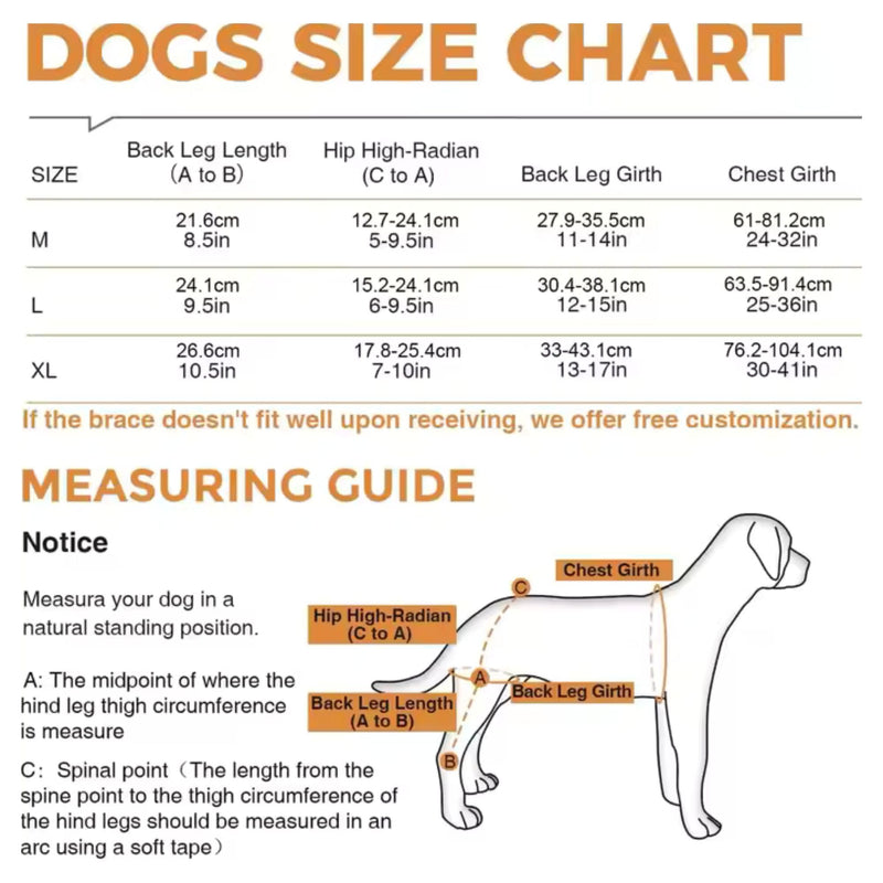 Dog Knee Brace for Hind twoLeg Support - Adjustable Hock Joint Wrap for ACL Ligament Injuries, Luxating Patella, and Arthritis Pain Relief, Best Recovery Sleeve for Injury Legs Dogs (Medium) Medium