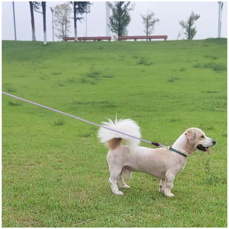 MayPaw Small Rope Dog Leash 6FT 8FT 10FT, 1/4-in Lightweight Pet Leash for Small Dogs/Puppy/Cats, Classic Colors Round Dog Lead(6ft*1/4",Purple) 6ft*1/4" purple - PawsPlanet Australia