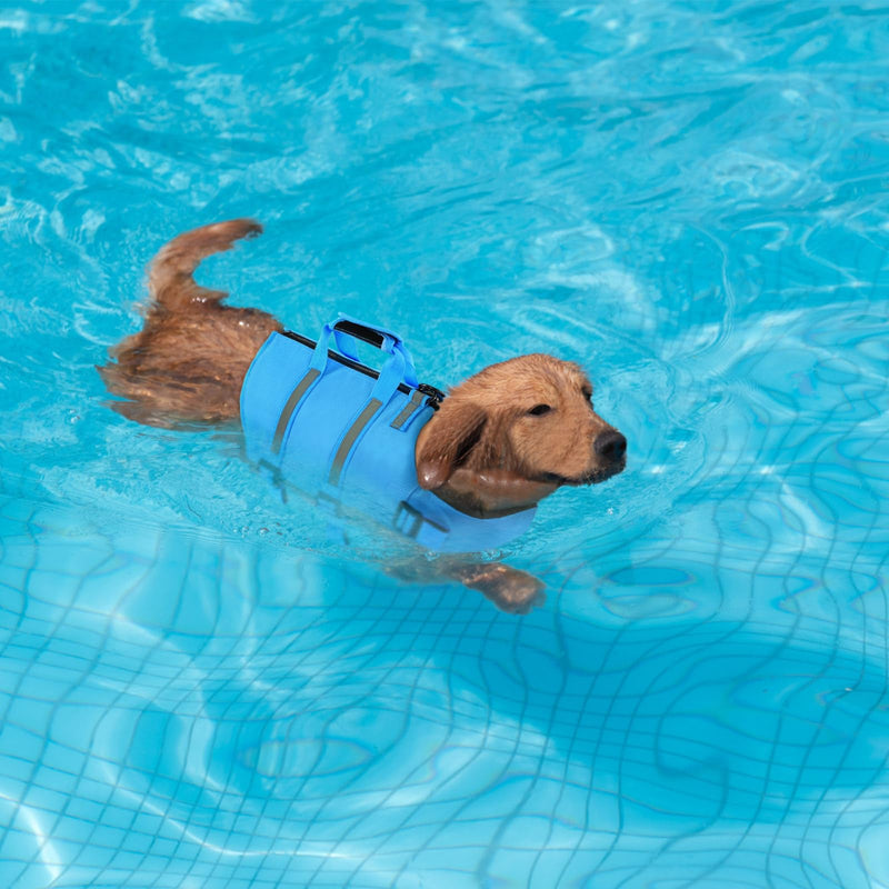 SAWMONG Dog Life Jacket with Ripstop and High Flotation - Swimming Vest for Small, Medium, Large Dogs - Reflective, Lightweight - With Rescue Handle for Boating, Blue, 2XL XX-Large - PawsPlanet Australia