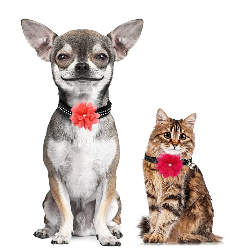 PET SHOW 4pcs Dog Flowers Collar Charms Slides Attachment Accessories For Small Medium Large Dogs Cat Puppy Bows Grooming Supplies… A 3" - PawsPlanet Australia