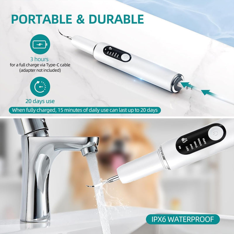 Dog Teeth Cleaning Kit Dog Plaque and Tartar Remover with LED Light 5 Adjustable Modes Electric Toothbrush Pet Teeth Cleaner for Dogs and Cats (Off-White) Off-white