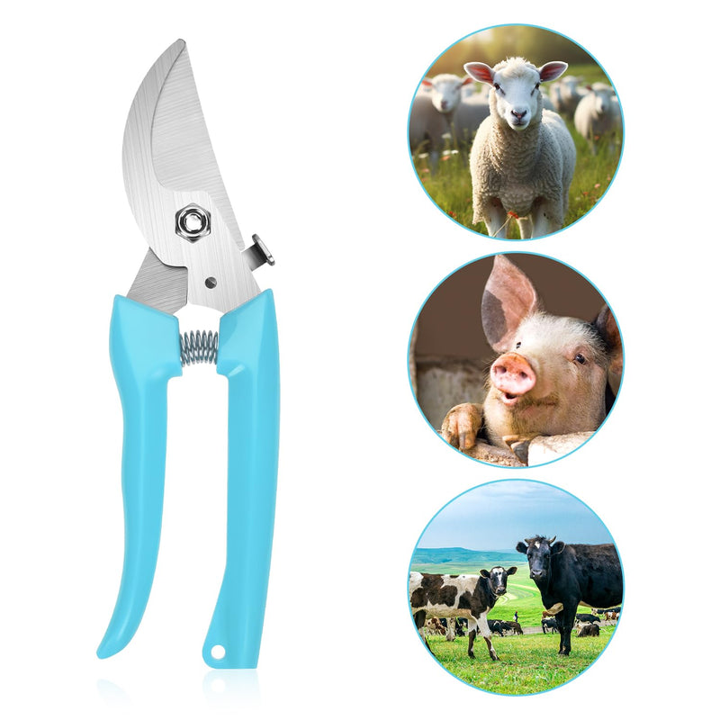 PEUTIER 3pcs Goat Hoof Trimmers and File, Nail Clippers for Goats Hoof Nippers Curved/Straight Head Sheep Hoof Trimming Shears Hoof Rasp Horseshoe File for Goat Sheep Lamb Pig Animal Hooves (Blue)