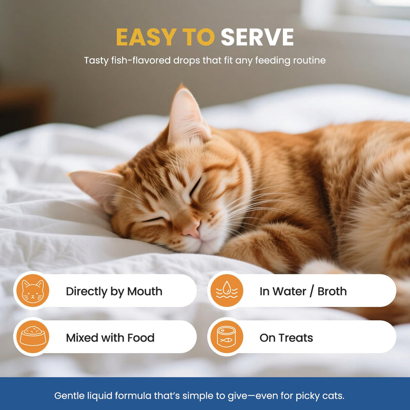 L-Lysine for Cats Liquid Drops Fish Flavor: Immune Support & Respiratory Wellness, Eye & Nose Comfort – Easy-to-Give Cat Lysine Supplement – with Botanical Blend + Vitamins A, B1 & B6 1.86 fl oz