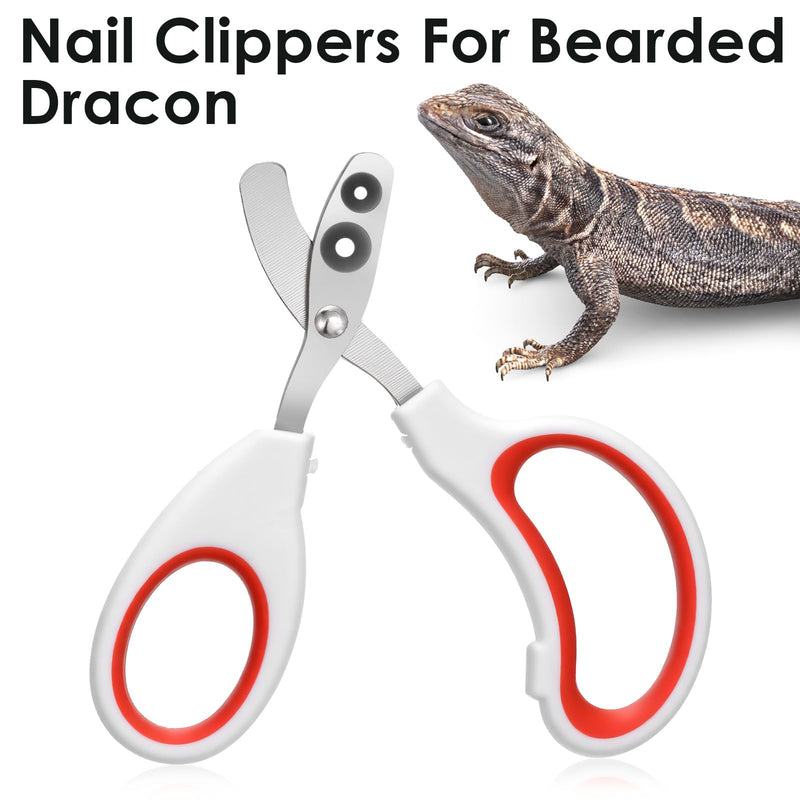 Stainless Steel Bearded Dragon Nail Clippers, Lizard Nail Clippers, Bearded Dragon Tank Accessories, Beardedd Dragons Accessories, Pet Nails Clipper for Small Reptiles,Turtle,Chameleon - PawsPlanet Australia