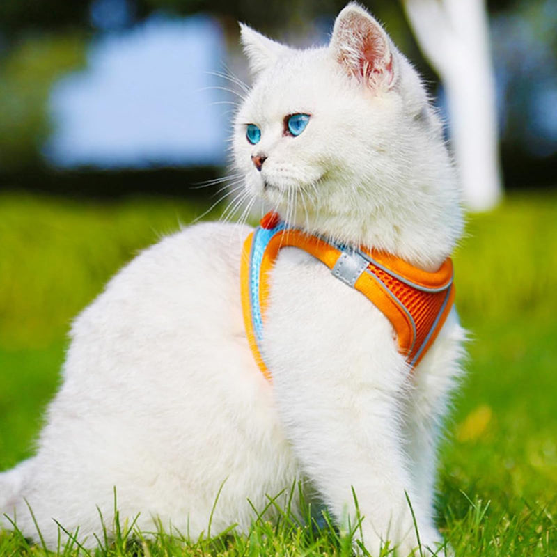 Cat Harness – Escape Proof Soft Mesh Vest for Indoor Cats, Side-Through No-Pull Design, Adjustable & Lightweight with Reflective Strips (Black, L) - PawsPlanet Australia