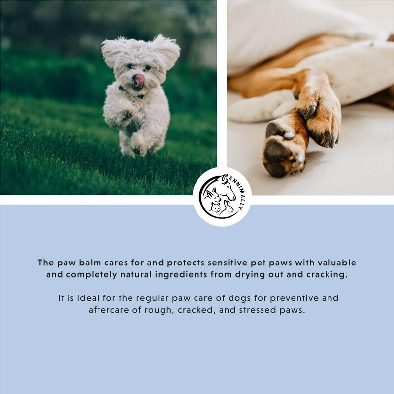 Dog Paw Balm and cat paw balm 50g - Dog nose balm with beeswax, shea butter & calendula oil - Paw ointment for dog paw protection in winter and wound healing - Paw balm for dogs & nose balm for dogs - PawsPlanet Australia