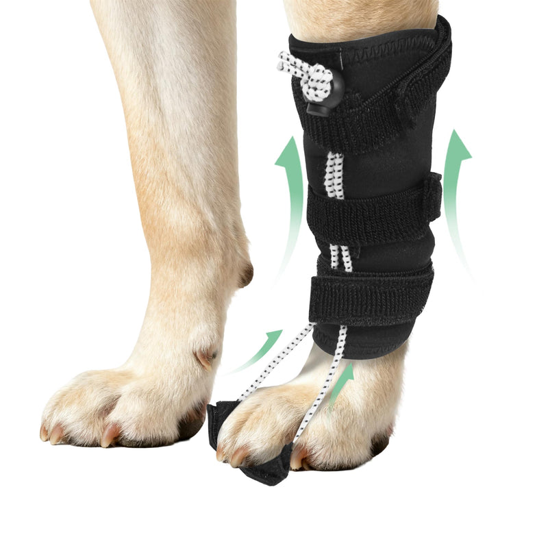 Dog Knuckling Brace, Dog Toe Grips for ACL Injury, Hock Fracture, Arthritis & Meniscus Tears, Rear Legs, L