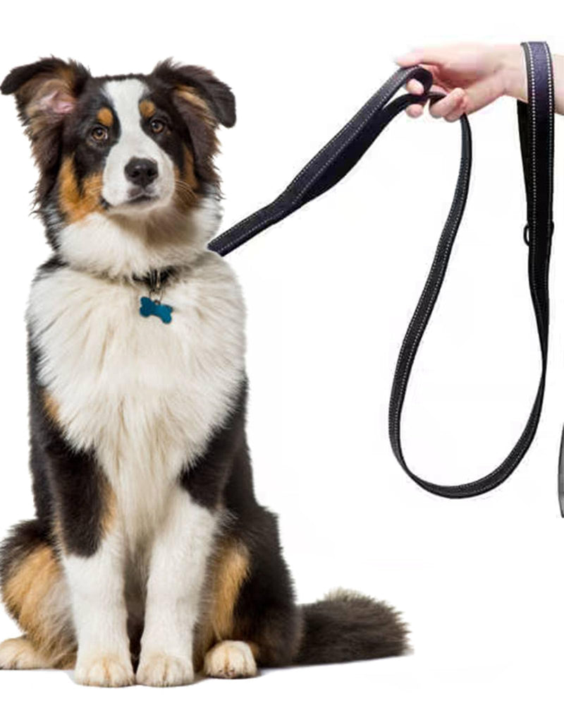4FT Blue Strong Dog Leash with 2 Padded Handles, Traffic Handle Extra Control, Double-Sided Reflective Walking Lead for Small Medium and Large Dogs(Blue, 4FT) - PawsPlanet Australia
