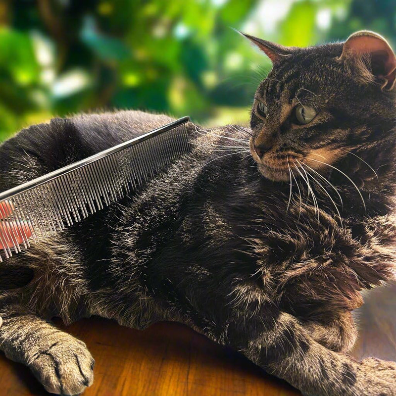 Warren London Carding Cat Comb | 7.5 inches made with Copper | Rounded Tips Prevent Irritation | Dual Tooth Design for Short & Long Hair removes Mats and Tangles