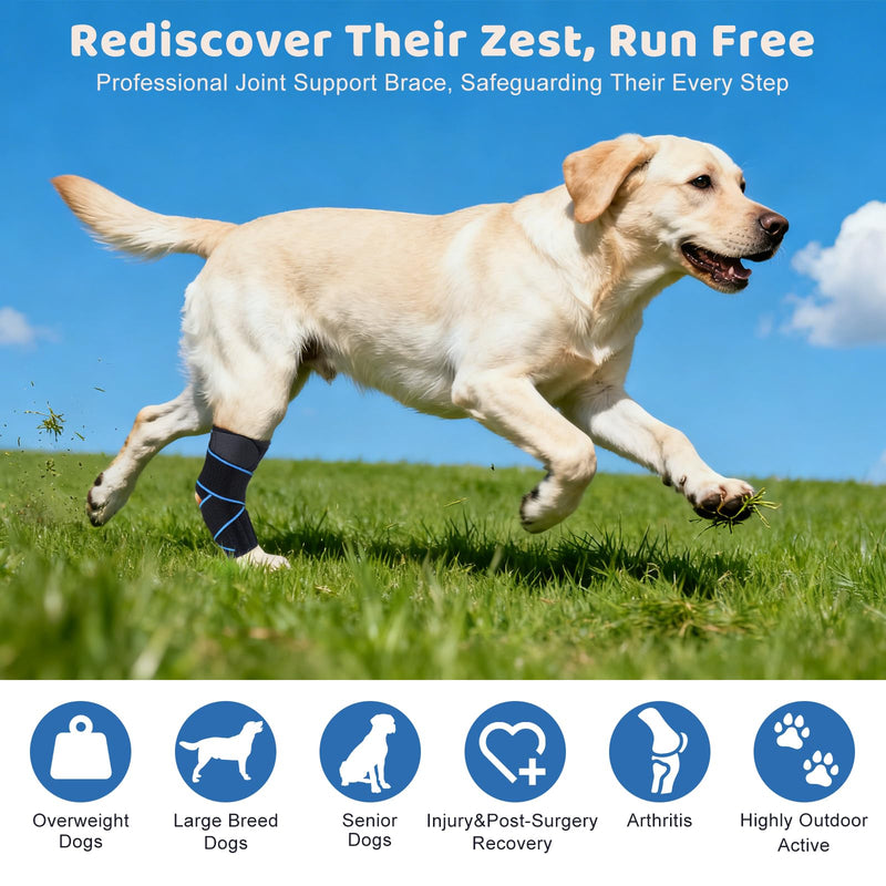 Dog Knee Brace for Back Leg Support, Hock Joint Compression Wrap ACL Brace for Hind Legs – Stabilizing Rear Leg Support for Senior & Overweight Dogs, Ideal for Medium & Large Breeds (M) M