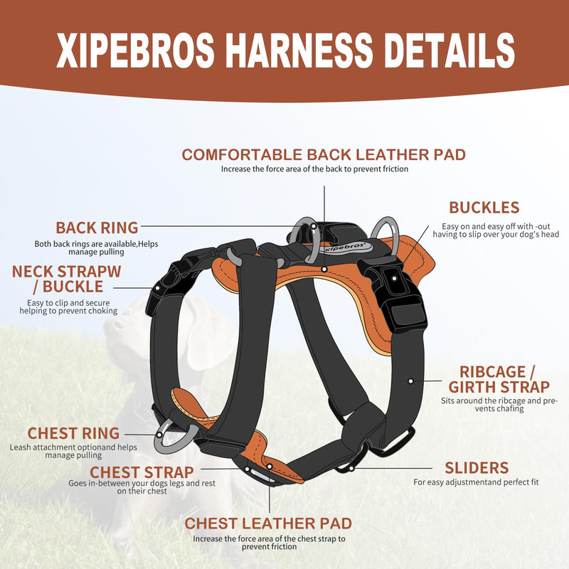 Dog Harness, no Pull Dog Harness with lesthe Pads,Ideal for Dog Walking and Training. Easy Walk Dog Harness for Small(Black, M), Medium Black - PawsPlanet Australia