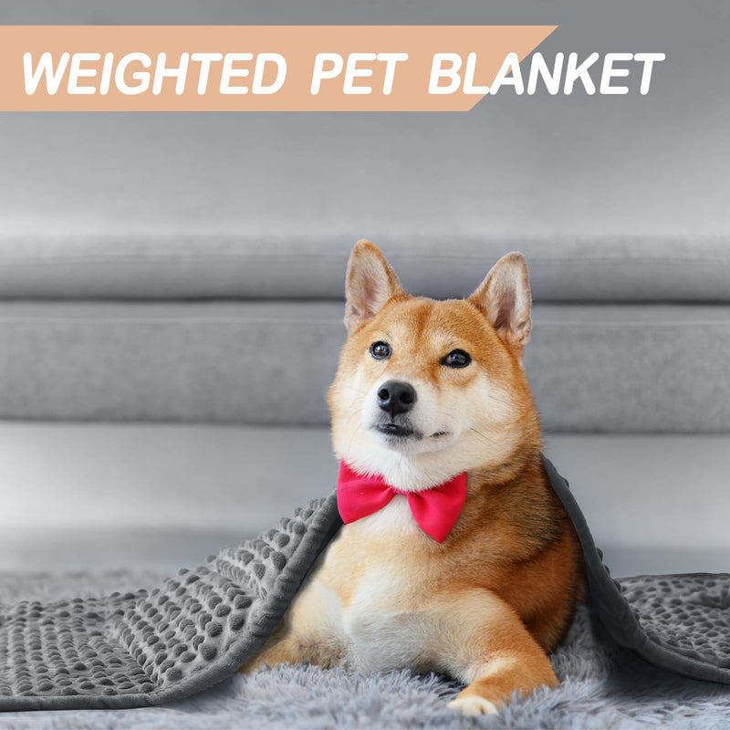 YUSRA Small Weighted Blanket for Dogs, Warm Minky Dog Blanket Especially for Thunderstorms, Fireworks, Separation, Travel, Bed and Couch, Machine Washable, Soft Dog Blanket (Grey, 24 * 32inch 2lbs) 24*32inch 2lbs Grey - PawsPlanet Australia