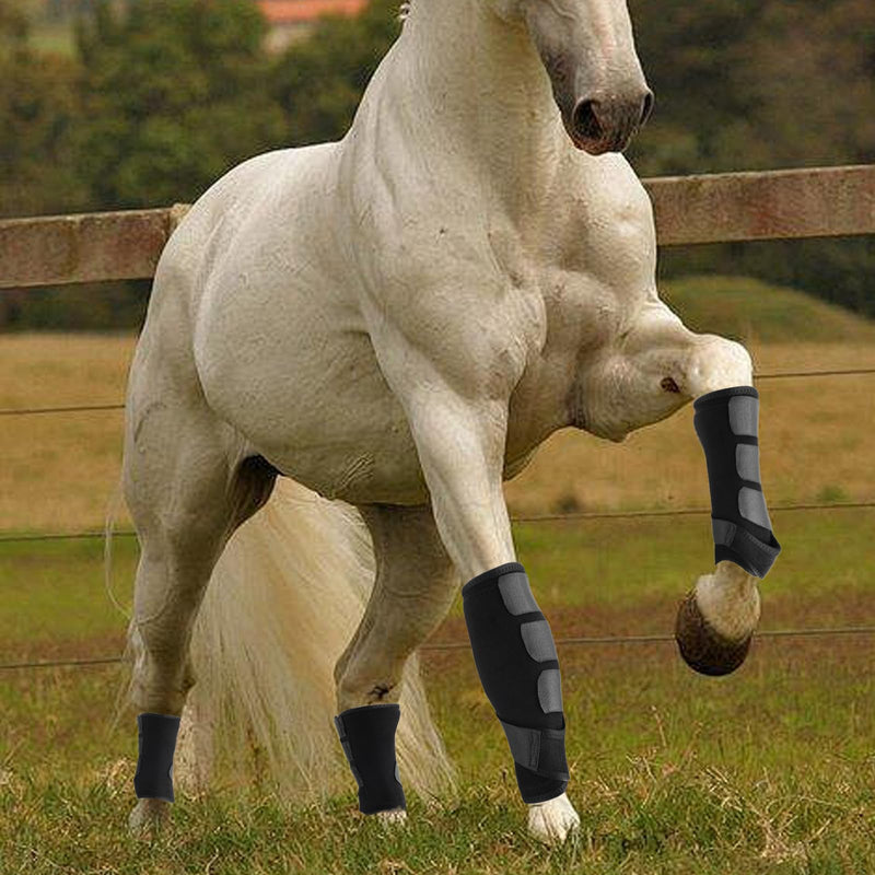 4 Pcs Horse Sport Boots - Neoprene Protective Breathable Comfy Mesh All-Round Lower Limb Protection & Support for Jumping Trail Riding Endurance Training and Performance ?Large / Full - PawsPlanet Australia