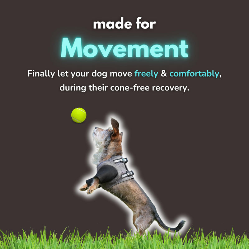 Dog Cone Alternative - Hot Spot Recovery Sleeves, Wound Protection & Hygroma Treatment for Dogs, Reduce Stress & Anxiety, Waterproof & Breathable, Prevent Licking, Ideal Post-Surgery Suit (XXL) XX-Large - PawsPlanet Australia