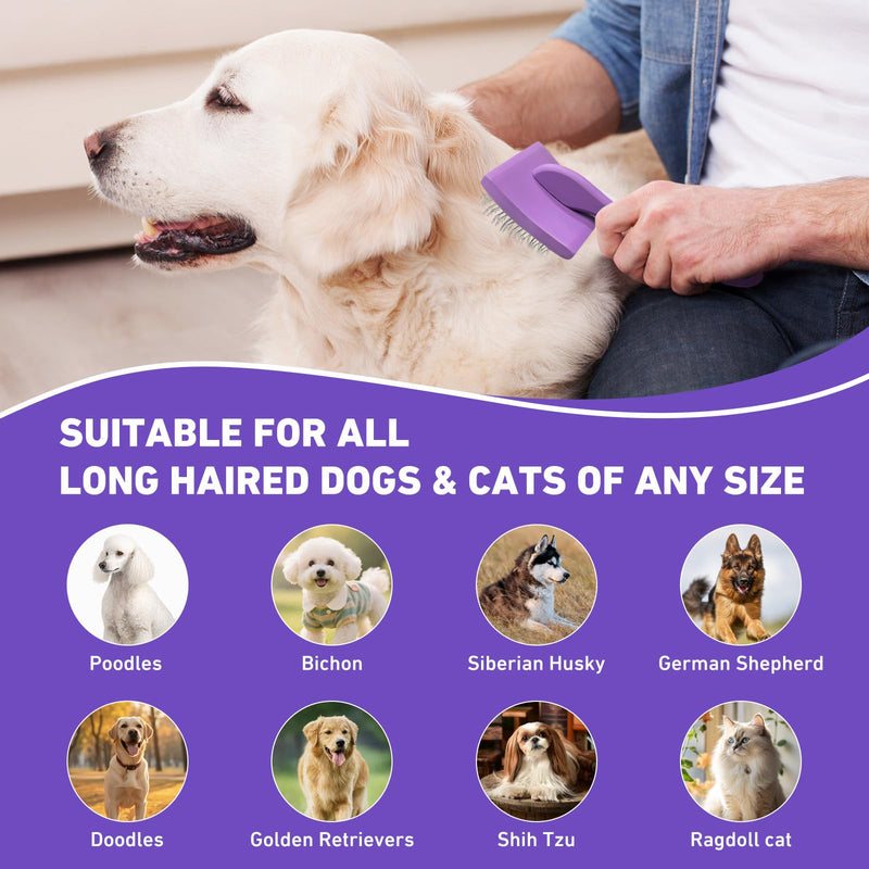 Slicker Brush for Dogs, Best Doodle & Poodle Brush for Long Haired Dogs, Large Dog Hair Brush with Little Round Rubber Tips, Dog Slicker Brushes Goldendoodle Long Pin Detangler for Dematting - PawsPlanet Australia