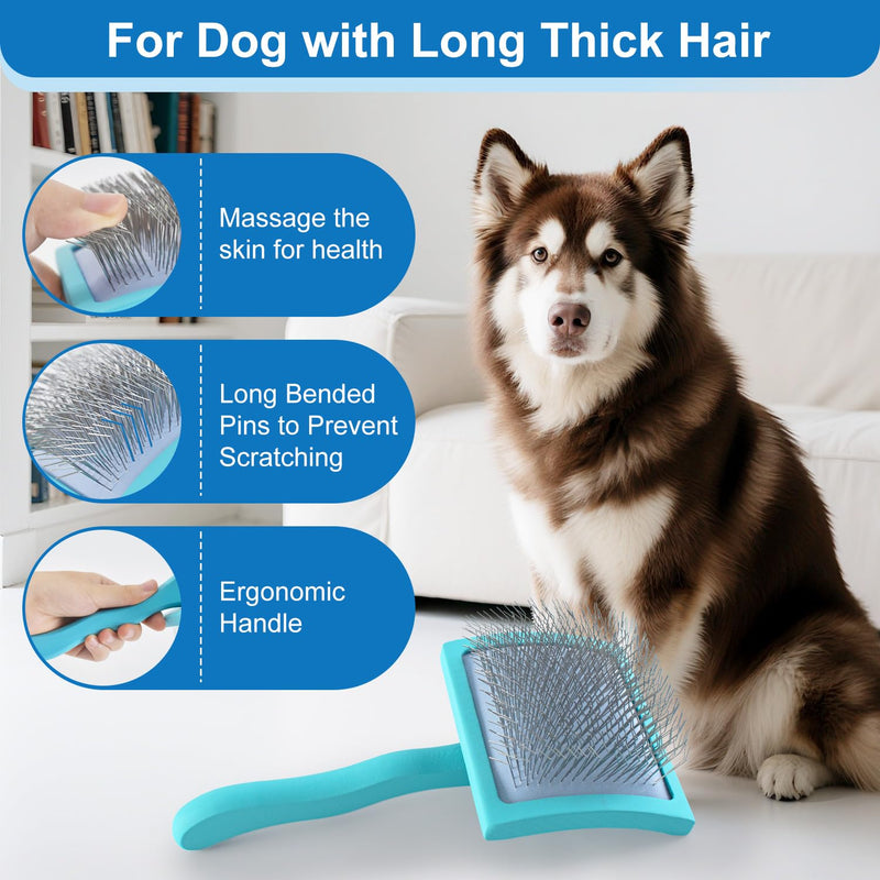 Slicker Brush for Dogs, Doodle & Poodle Brush for Long Haired Dog, Dog Slicker Brushes Goldendoodle Long Pin Detangler for Dematting (Large Curved) blue - PawsPlanet Australia