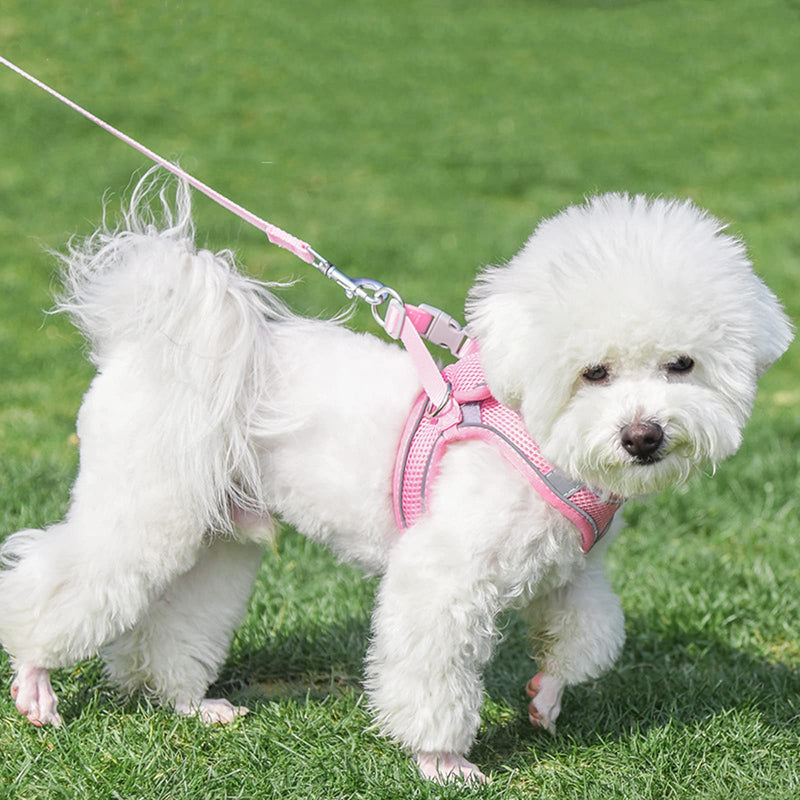 PETCUTE No Pull Dog Harness,Breathable Reflective Adjustable Dog Harness with Buckle,Lightweight,Front Clip Puppy Vest Harness with Sturdy Metal D-Ring,Easy Control for Outdoor Walking S Pink+Blue - PawsPlanet Australia