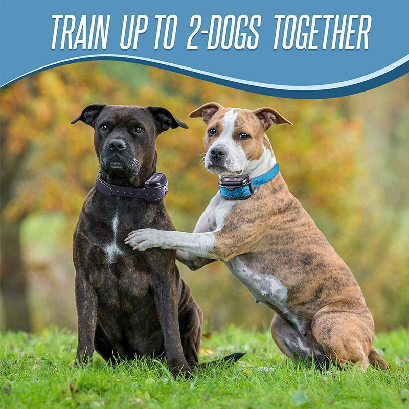 Pet Union PT0Z1 Premium Training Shock Collar for Dogs with Remote - Fully Waterproof, 4 Adjustable Training Modes - Shock, Vibration, Beep - Up to 1200ft Range Blue - PawsPlanet Australia