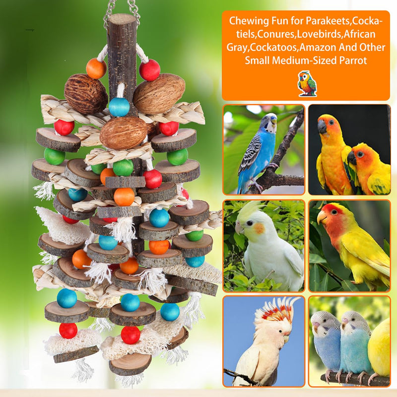 BBjinronjy Large Parrot Toys Bird Chewing Toys-Natural Nuts Corn Loofah Wooden Bird Cage Toy for African Grey,Macaws,Conure,Cokatoos,Cockatiel,Amazon Parrots and Other Medium and Small Birds