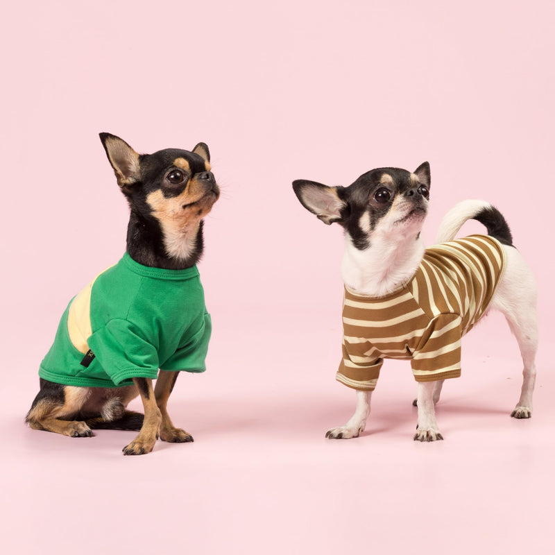 Fitwarm 3 Pack Color Block Striped Dog Shirt, Summer Dog Clothes for Small Dogs, Breathable Lightweight Dog Tshirt, Pet Outfit, Navy Blue, Sea Green, Brown, Large Navy Blue-Sea Green-Brown - PawsPlanet Australia