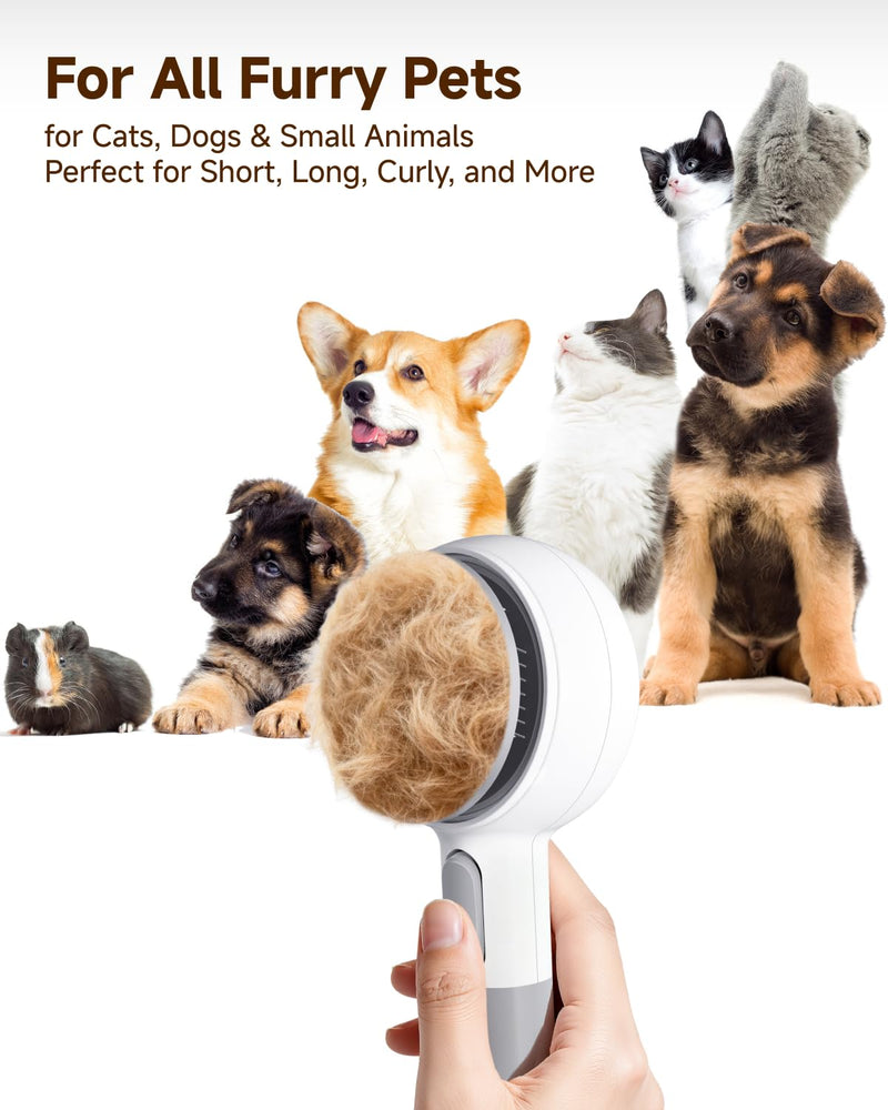 Pet Spray Brush for Cats & Dogs, 3-in-1 Grooming Tool with Steam Mist, 2-Speed Spray Settings, Removes Dander & Deshedding, One-Touch Self-Cleaning Hair Brush, for Long Short Hair Pets