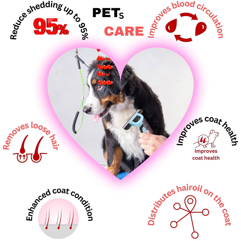 Deshedding Tool for Dogs and Cats - Reduces Shedding by Up to 95% in Less Than 10 Minutes—best Choice for Grooming and Deshedding Your Lovely Pets. Dog Brush Cat brush Horse Brush Rabbit Brush - PawsPlanet Australia