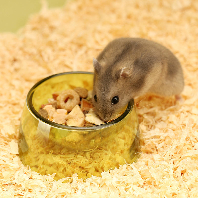 Hamster Food Bowl,Small Animals Food Water Bowl,Water Feeder Container, Hamster Bowls Dwarf Hamster Food Bowl,Hamster Feeding Bowl for Dwarf Hamsters,Mice,Small Animals 3pcs - PawsPlanet Australia