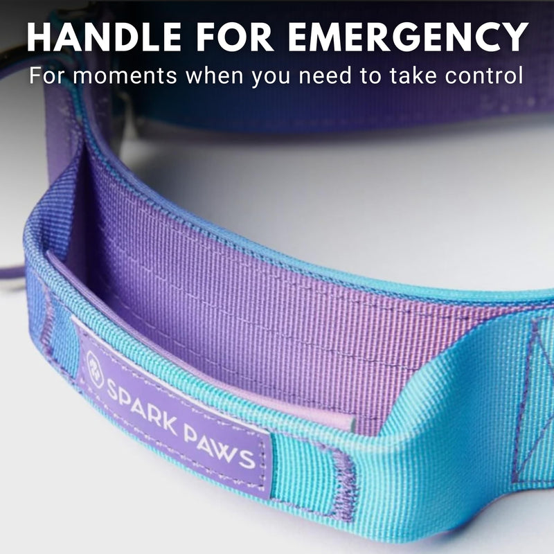 Spark Paws Tactical Dog Collar - Heavy Duty, Premium Quality, Thick and Durable for Large and Medium Dogs - 90's Retro - L 90s Retro L: 80-150 lbs [2" wide] - PawsPlanet Australia