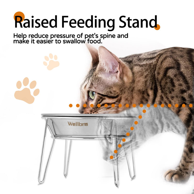 Elevated Cat Bowls, 5.9 Inch Wide Stainless Steel Cat Food Bowls with Metal Stand Whisker Stress-Free, Raised Food and Water Dish for Cats, Kitten, Puppies and Small Dogs-2 Pack 2 pack raised bowls